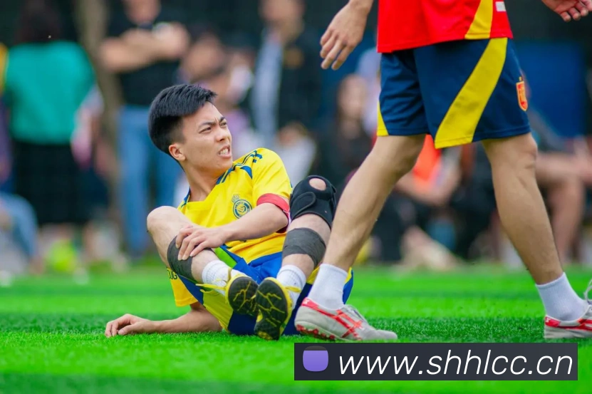 米兰app网页版登录入口发展历程